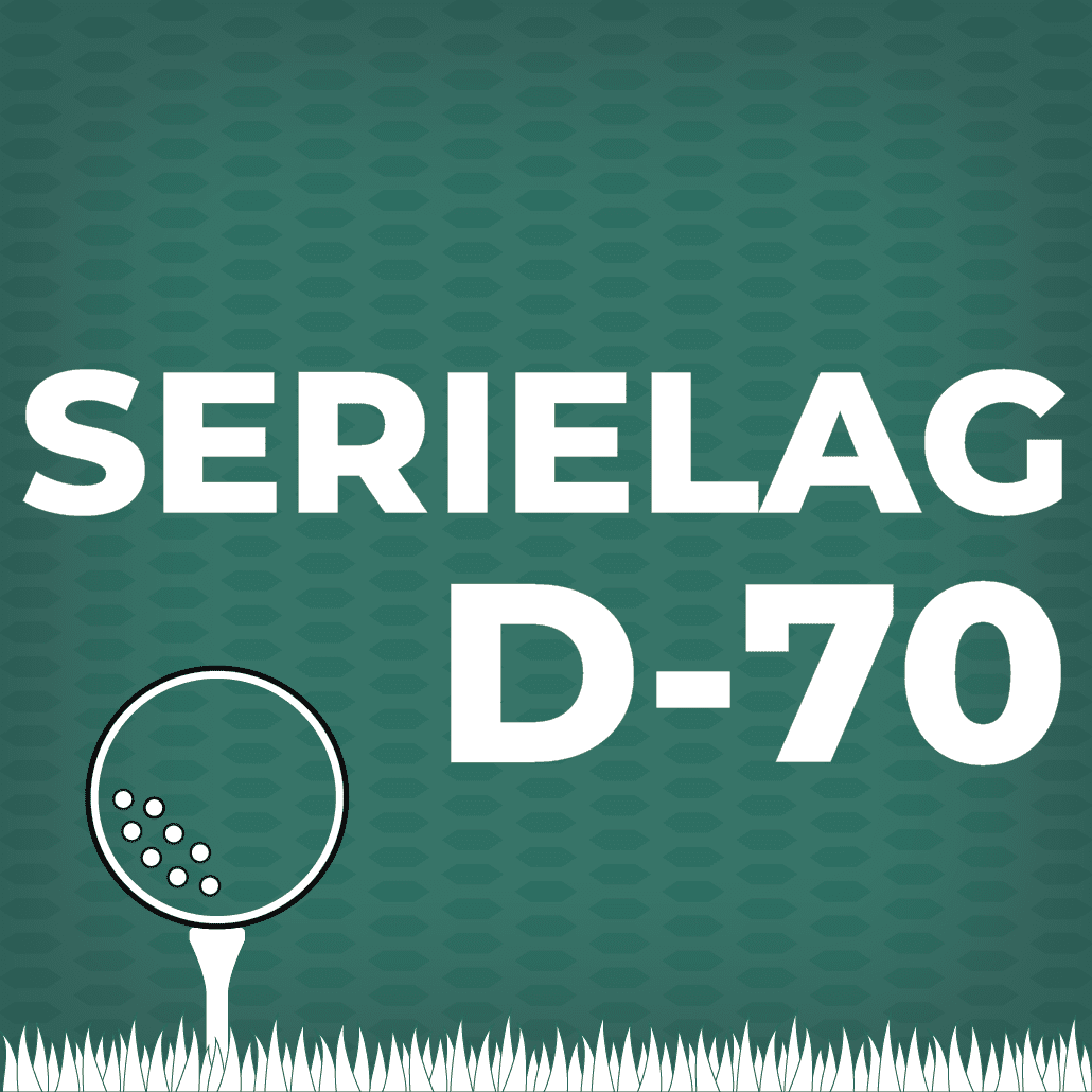 Serielag-31