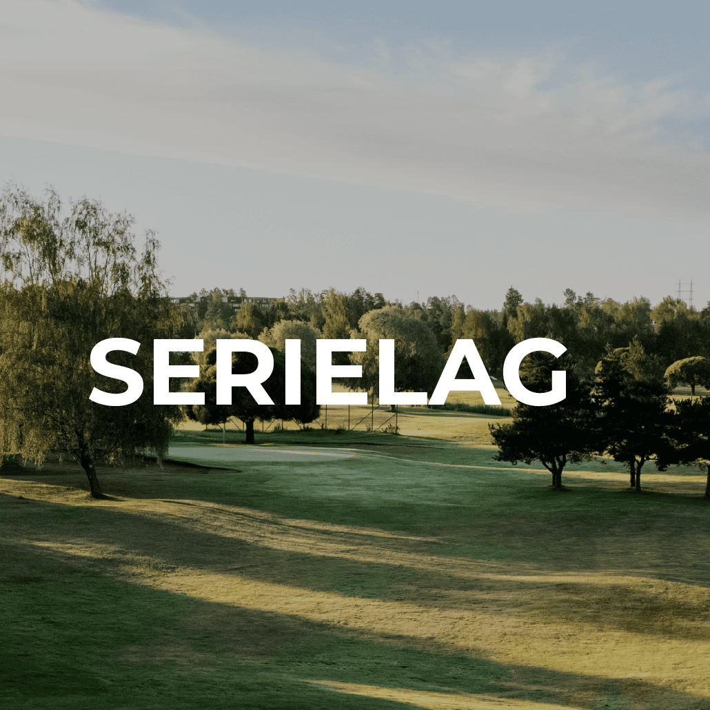 SerielagSerielag-02